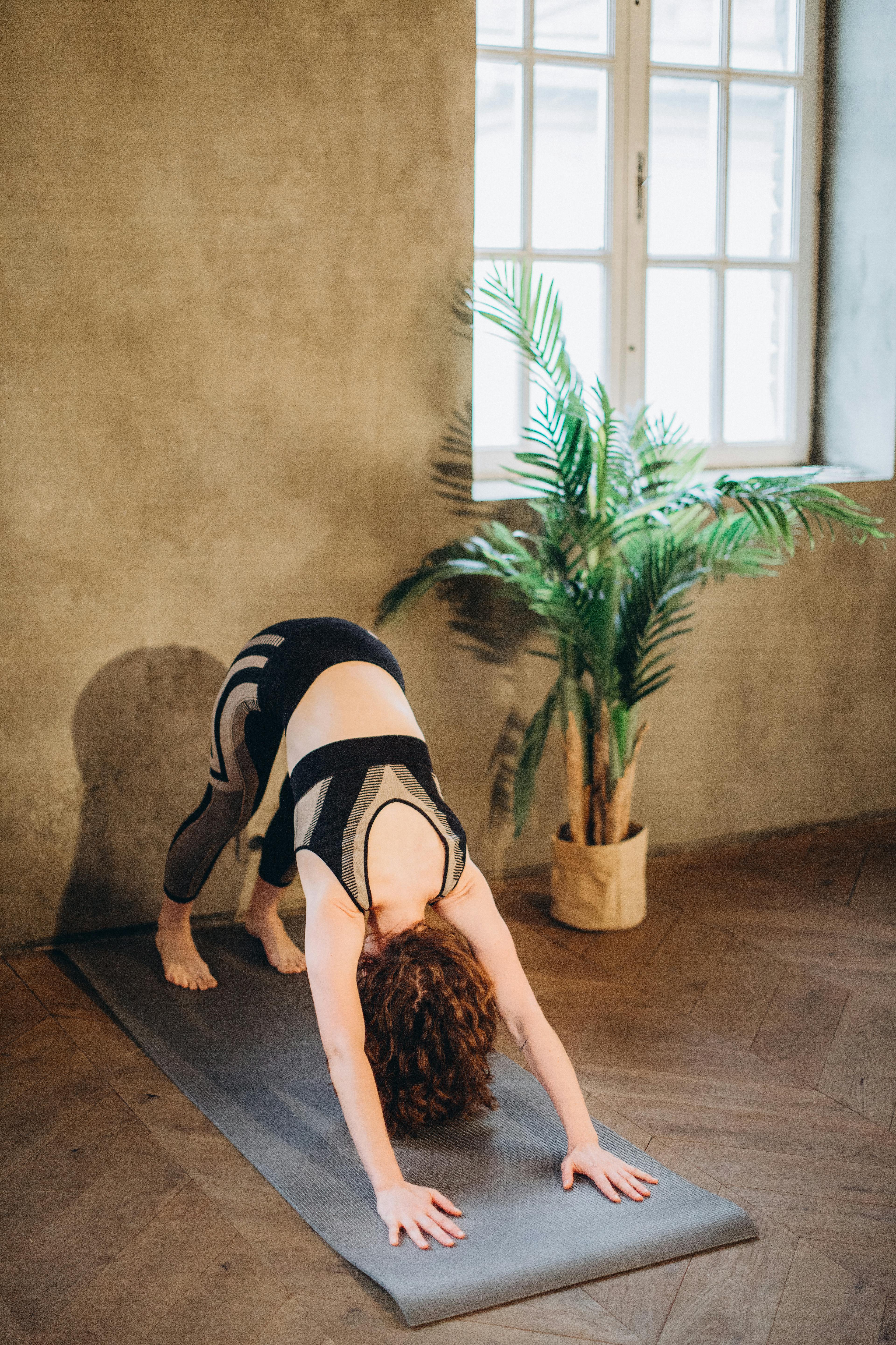 Downward Facing Dog (Adho Mukha Svanasana)